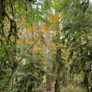 Meet your Posher, Rita